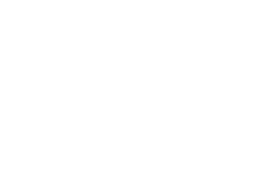 Dan Lellis
